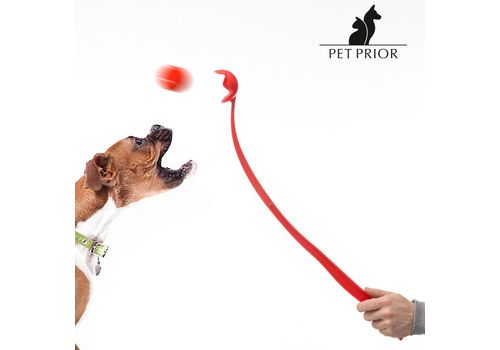 Lanceur de Balles pour Chiens Pet Prior au meilleur prix au Maroc