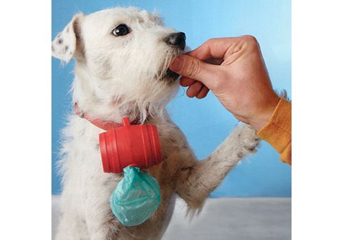 Distributeur de Sacs à Crotte pour Chiens (15 Sacs) au meilleur prix au Maroc