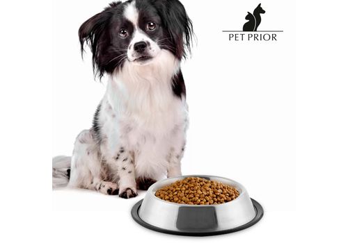 Mangeoire pour Chiens Pet Prior au meilleur prix au Maroc