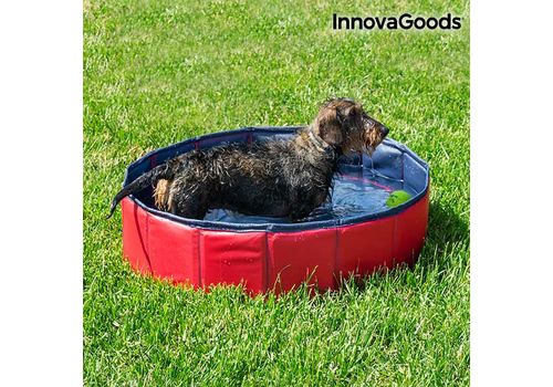 Piscine pour Animaux InnovaGoods au meilleur prix au Maroc