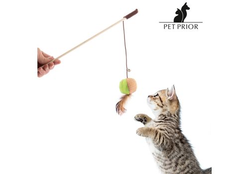 Jouet pour Chats Pet Prior au meilleur prix au Maroc
