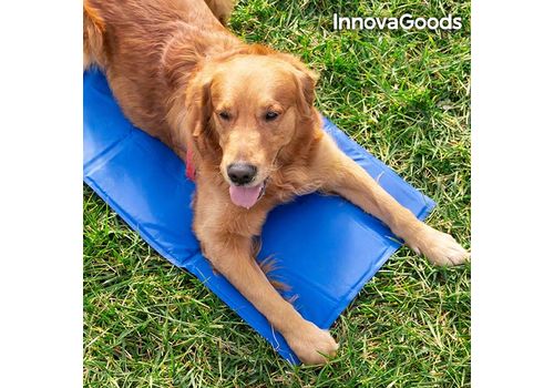 Tapis de Refroidissement pour Animaux de Compagnie InnovaGoods (90 x 50 cm) au meilleur prix au Maroc
