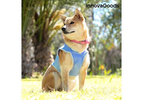 Gilet Rafraîchissant pour Petits Animaux de Compagnie InnovaGoods - S au meilleur prix au Maroc
