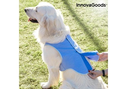 Gilet Rafraîchissant pour Grands Animaux de Compagnie InnovaGoods - L au meilleur prix au Maroc