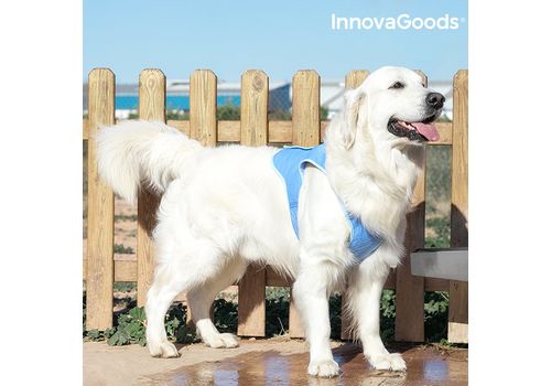 Gilet Rafraîchissant pour Grands Animaux de Compagnie InnovaGoods - L au meilleur prix au Maroc