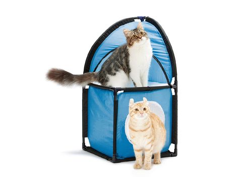 Maison de Jeux pour Chats au meilleur prix au Maroc