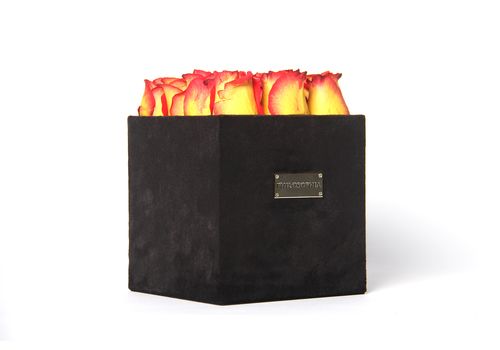 Creamy Peach Box au meilleur prix au Maroc