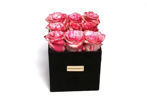 Pink Fiesta Box au meilleur prix au Maroc