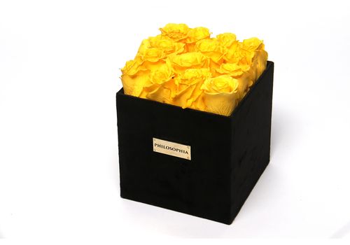 Brigther Than Sunshine Box au meilleur prix au Maroc