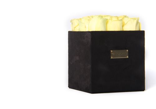 Vanilla Signature Box au meilleur prix au Maroc