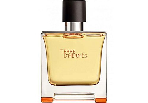 Hermes Terre  d'Hermès - Eau de toilette - 100ml au meilleur prix au Maroc