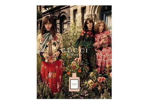 Gucci Bloom - Eau de Parfum 50ml au meilleur prix au Maroc