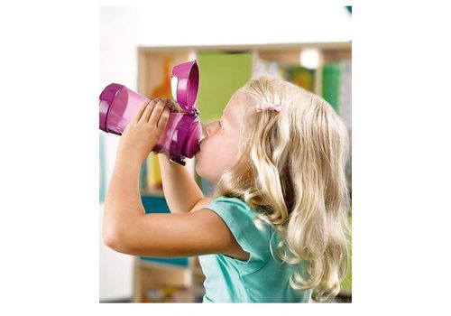 Gourde 430 ml cartoons au meilleur prix au Maroc